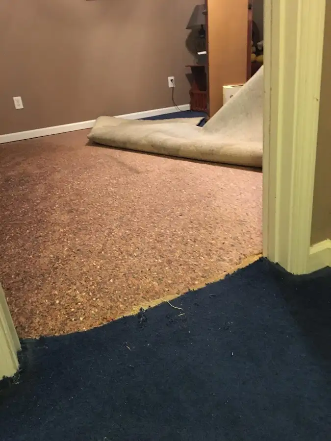 Carpet pad removal revealing water damage during Drying & Dehumidification in Sugar Land