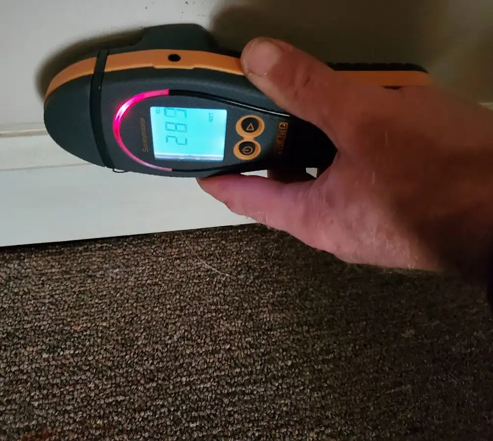 Moisture detection at baseboard during Mold Inspection & Testing in Sugar Land